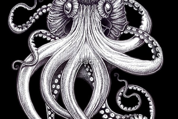 Kraken 14at